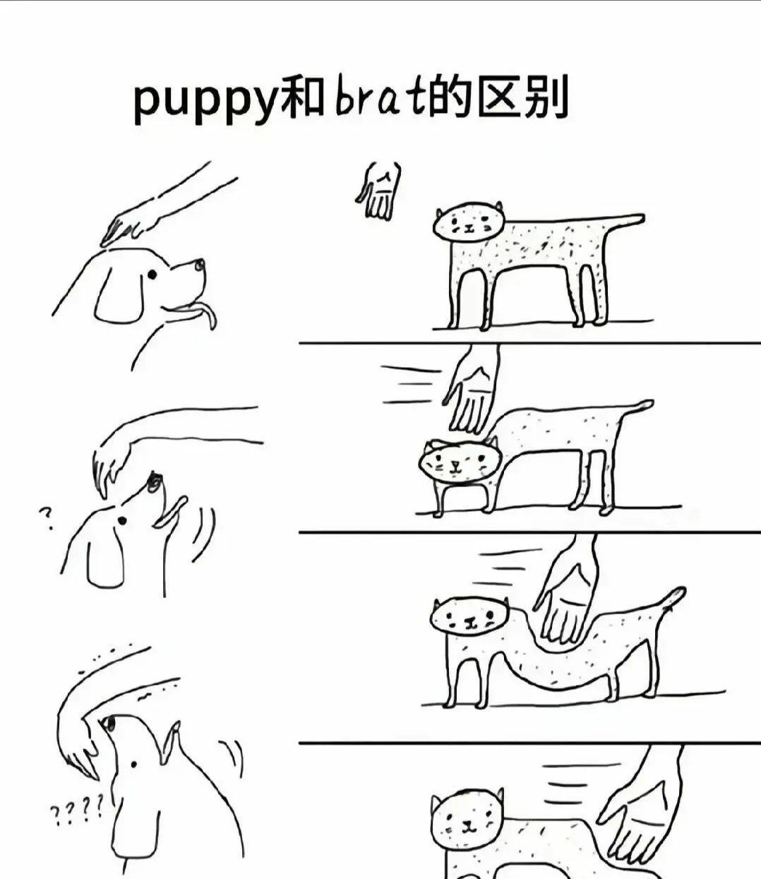 斯慕圈 - 微信图片_2025-11-13_180940_765