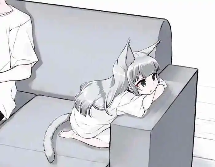 西檬之家-k8是什么？字母圈中的猫系角色指南