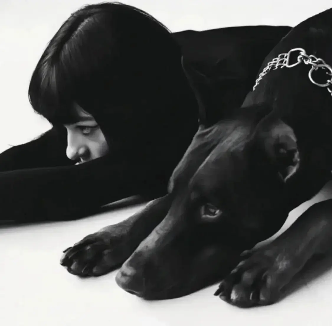 【西檬之家】小圈是什么？字母圈新人必读的入门指南