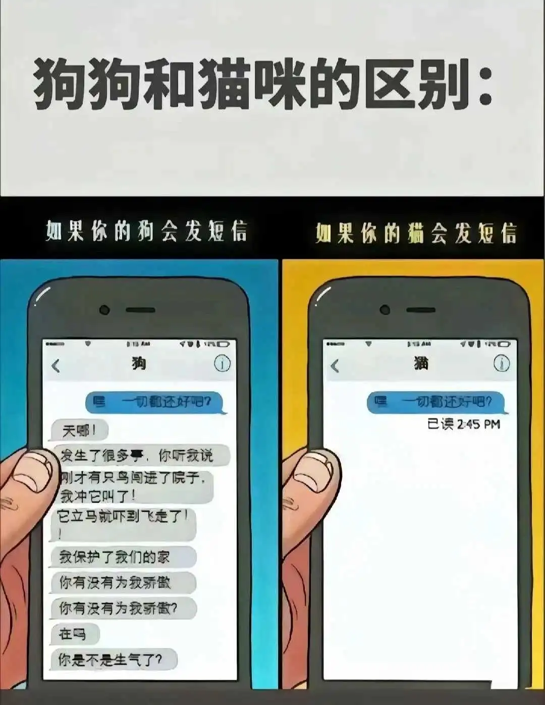 Ddlg是什么 - 微信图片_20250713011414