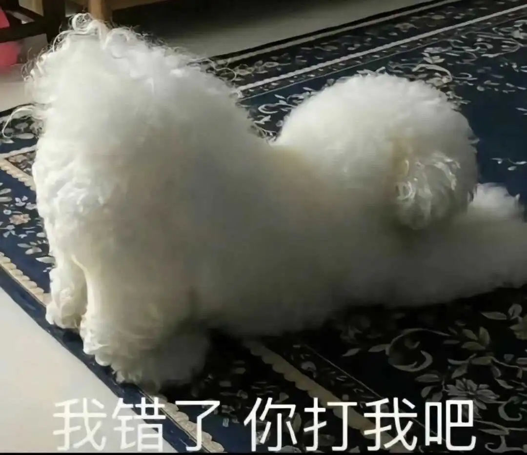 【西檬之家】女王在BDSM中意味着什么？