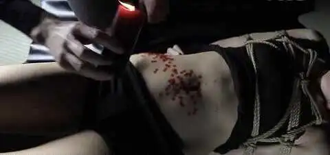 【西檬之家】BDSM领域新人指南：Dom的角色定位与核心原则