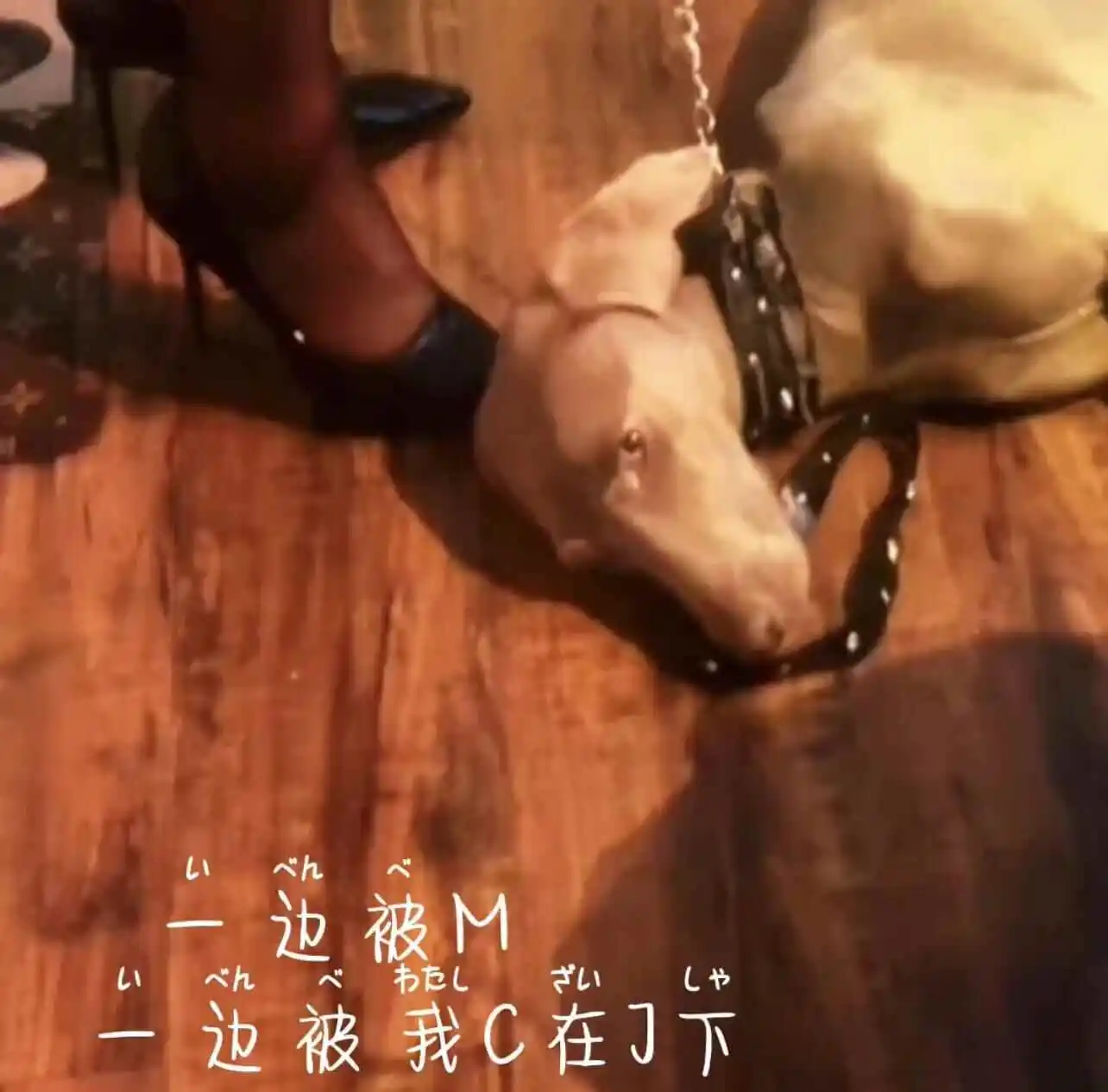 【西檬之家】M倾向与BDSM核心：新人入门的权威指南