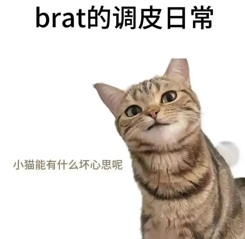 西檬之家-ddlg是什么？理解字母圈中的照顾型关系