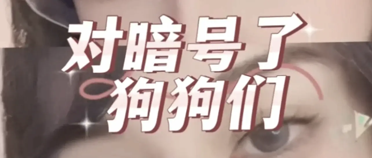 【西檬之家】K8是什么？字母圈猫系角色扮演新人入门指南